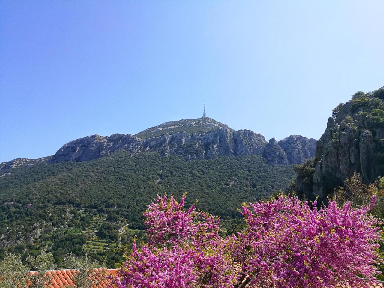 Sant'elene 3* Dorgali